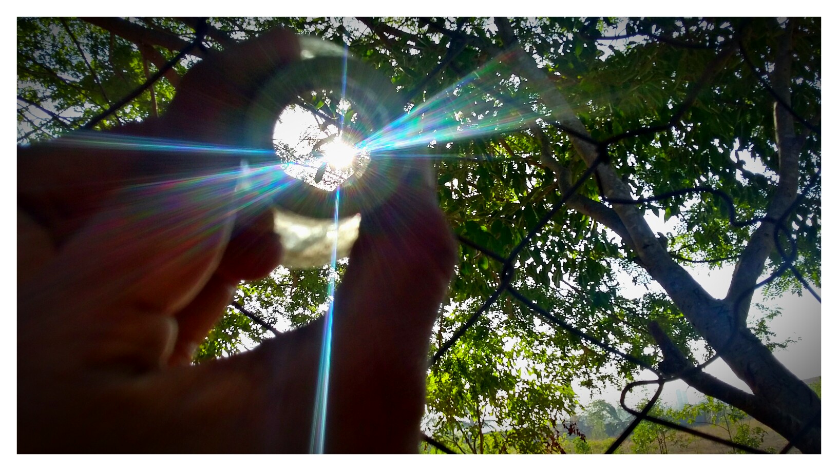 Sun Light
