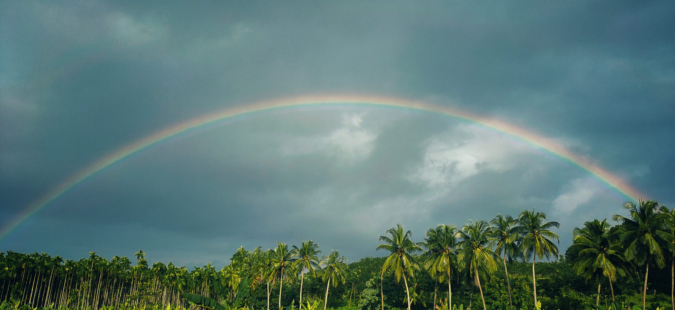 Stunning Rainbow